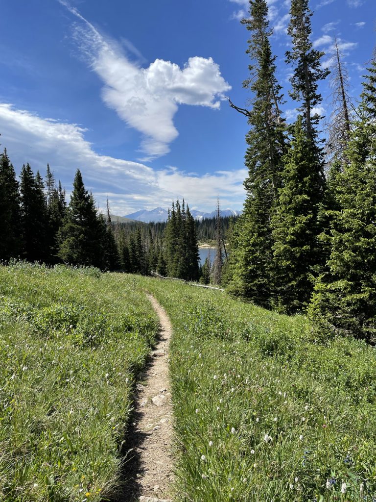 A view of Lawn Lake through the trees